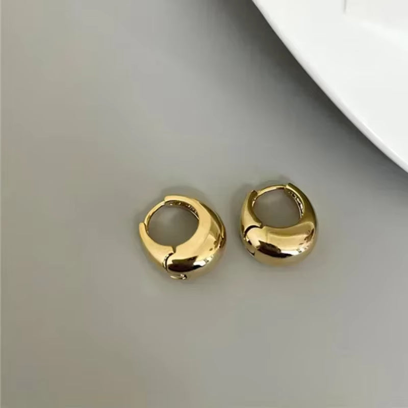 2023 Hot Sale Fashion Metal Hoop Earrings for Woman Vintage Doop Earring Trend Classic Party Wedding Ear Buckle Jewelry Gift